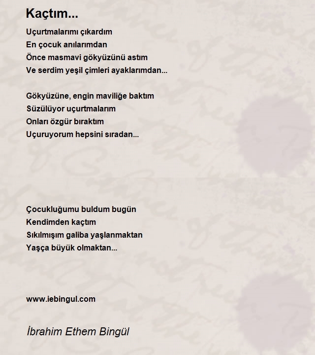 İbrahim Ethem Bingül