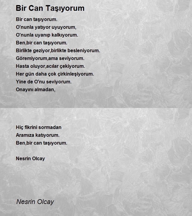 Nesrin Olcay