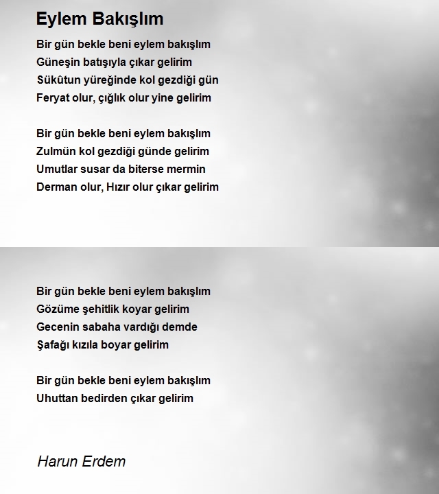 Harun Erdem