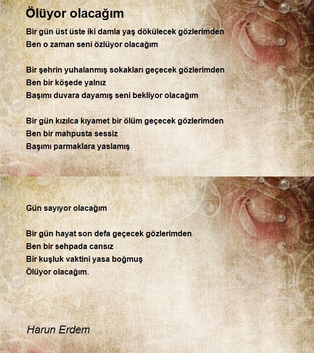 Harun Erdem