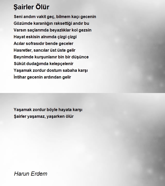 Harun Erdem