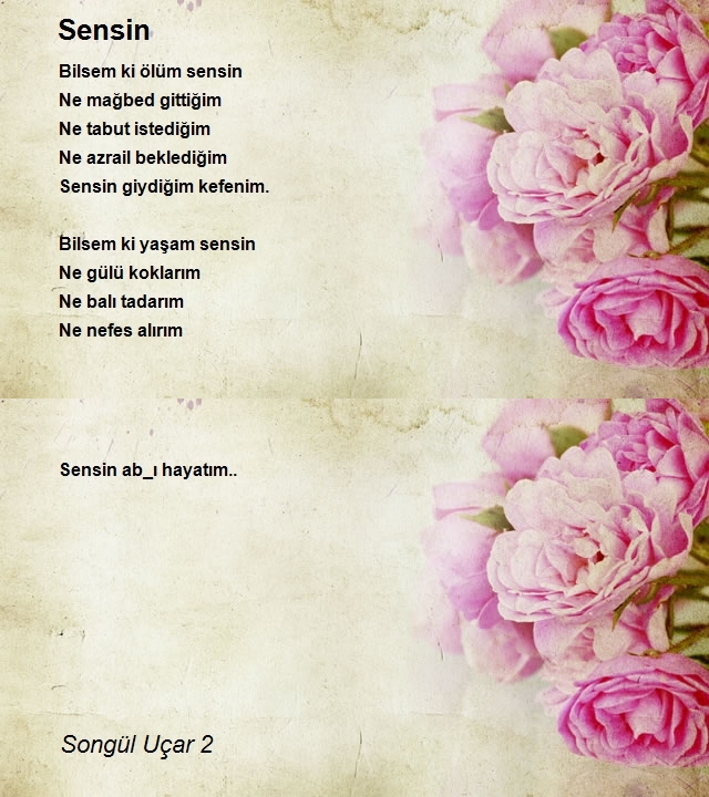 Songül Uçar 2