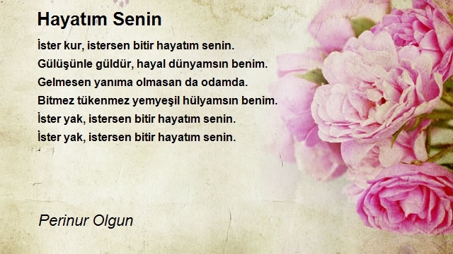 Perinur Olgun