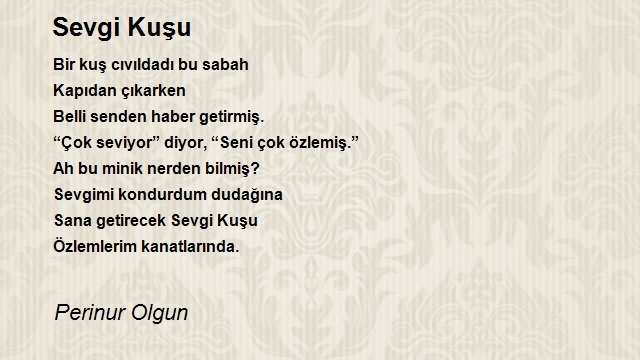 Perinur Olgun