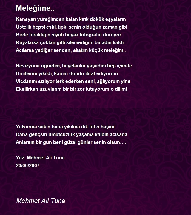 Mehmet Ali Tuna