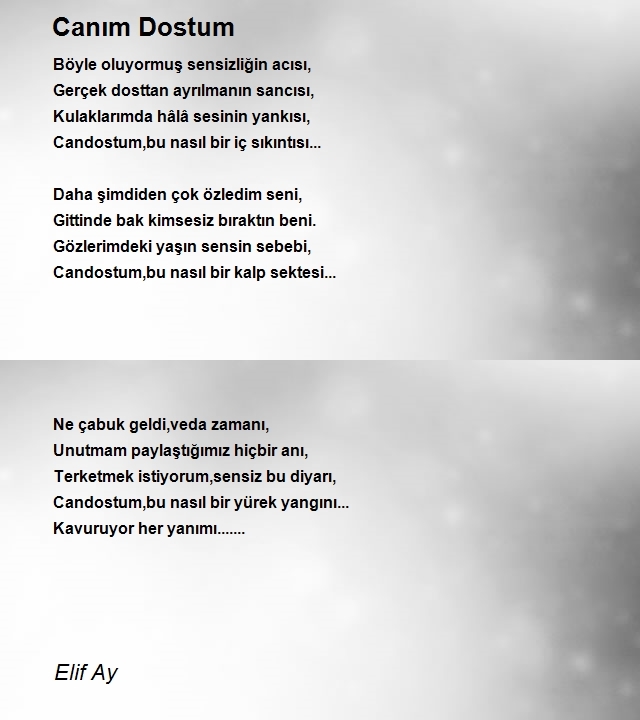 Elif Ay