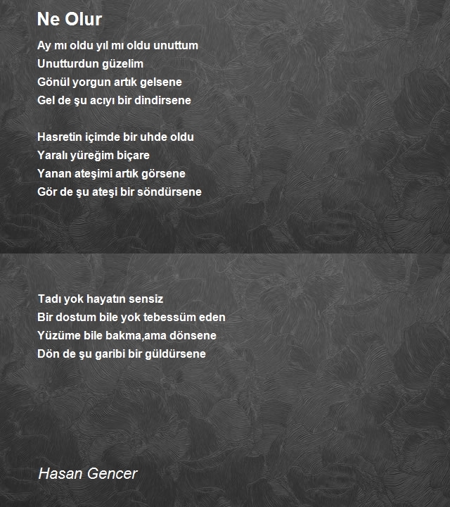 Hasan Gencer