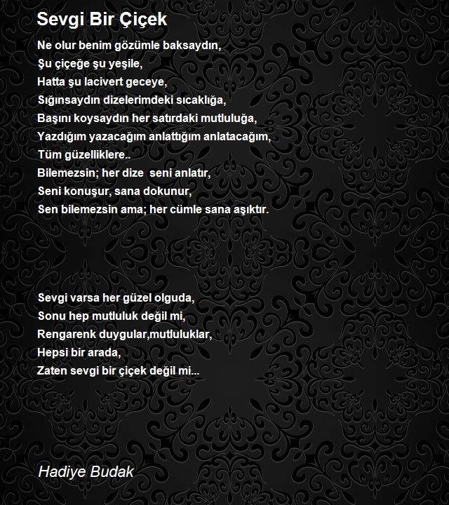 Hadiye Budak