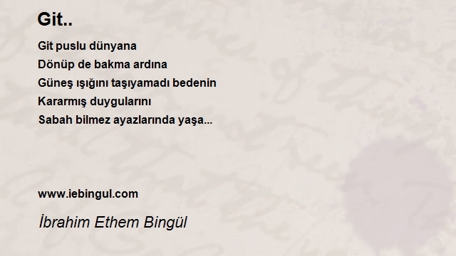 İbrahim Ethem Bingül