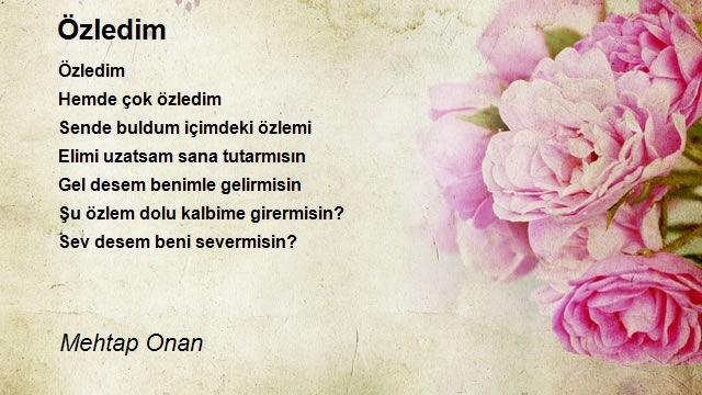 Mehtap Onan