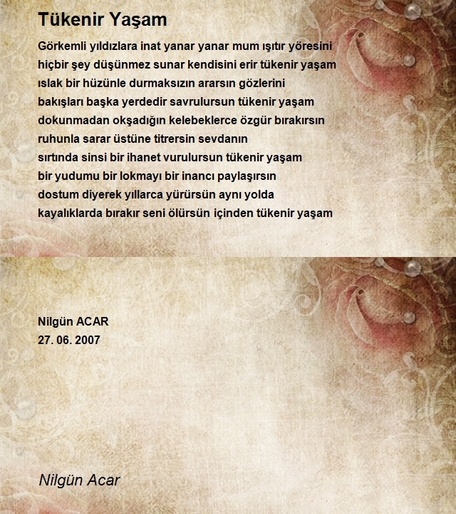 Nilgün Acar 