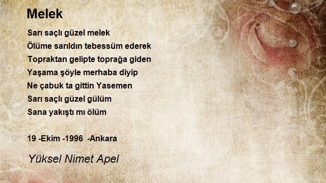 Yüksel Nimet Apel