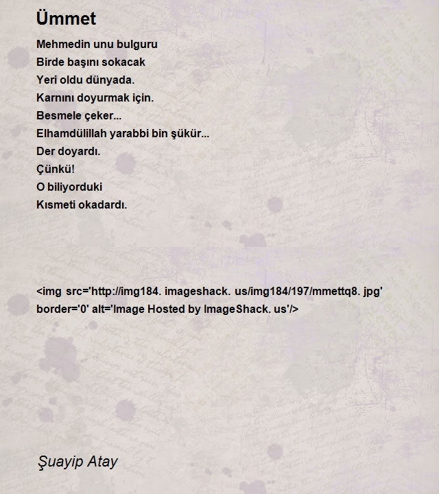 Şuayip Atay