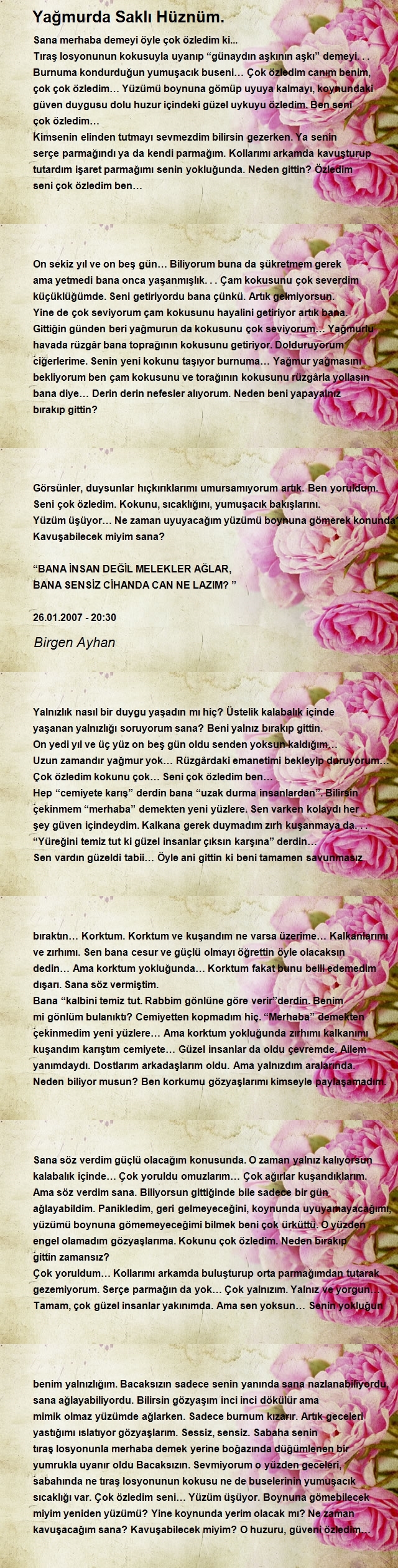 Birgen Ayhan