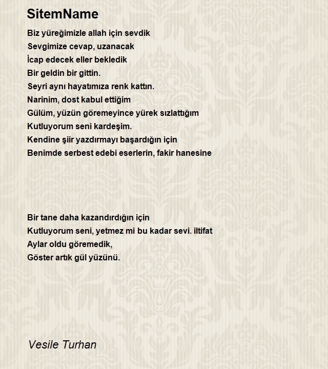 Vesile Turhan 