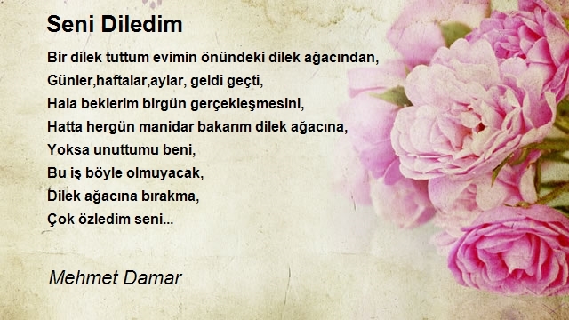 Mehmet Damar