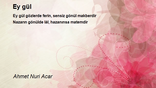 Ahmet Nuri Acar