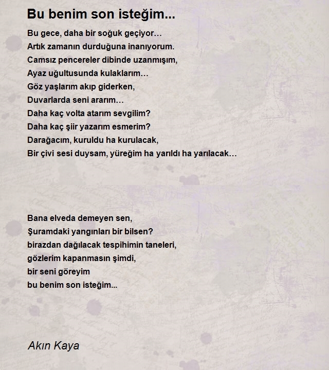 Akın Kaya