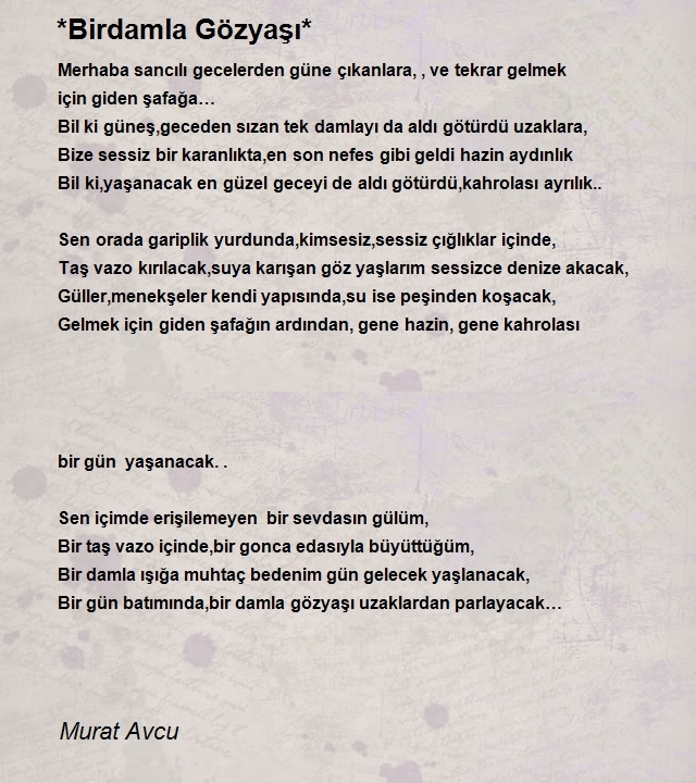 Murat Avcu