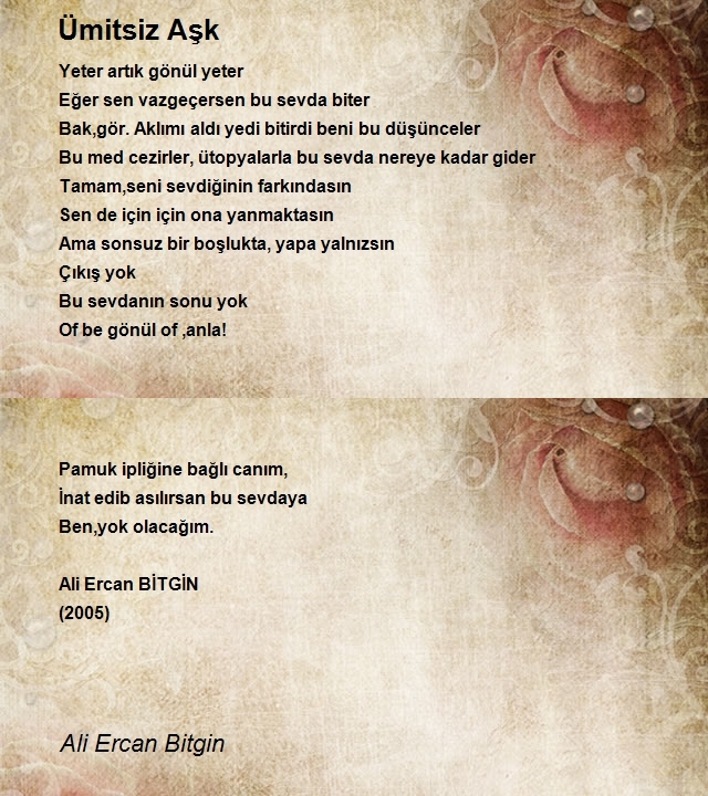 Ali Ercan Bitgin