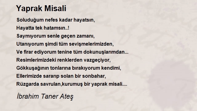 İbrahim Taner Ateş