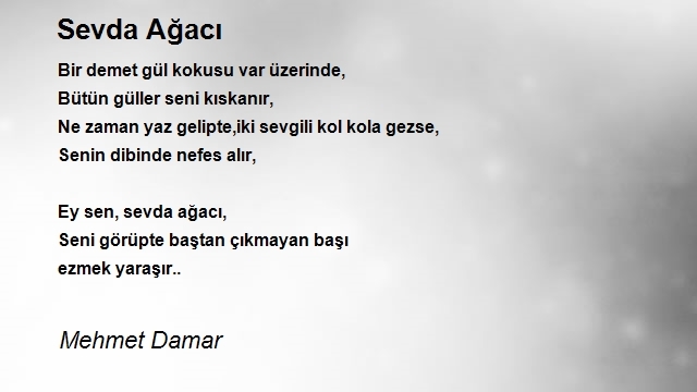 Mehmet Damar