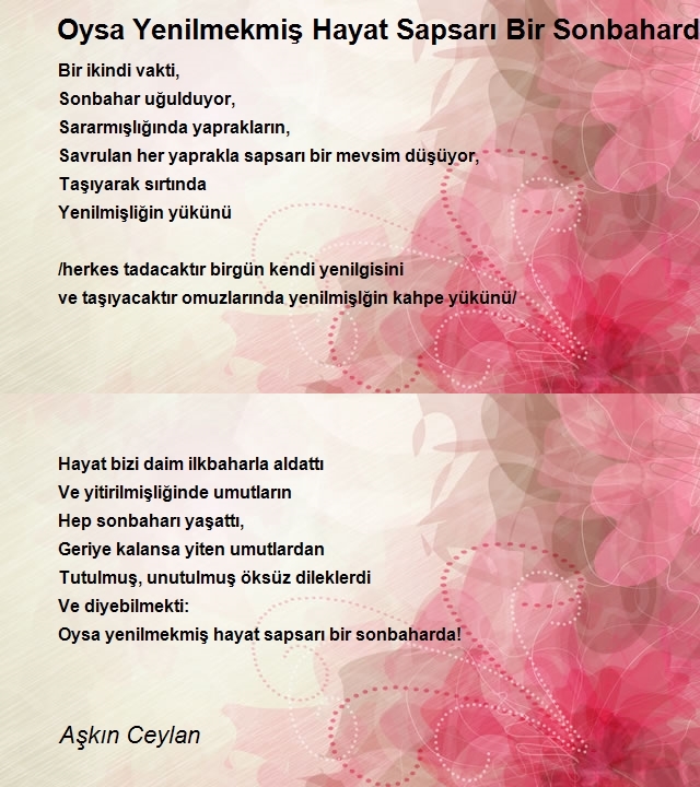 Aşkın Ceylan