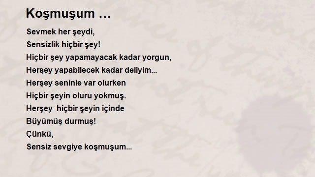 Didem Ayas