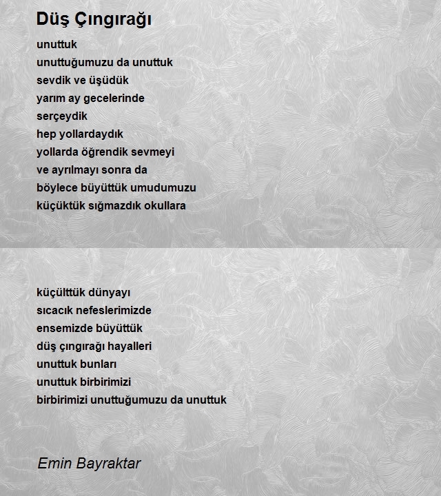 Emin Bayraktar