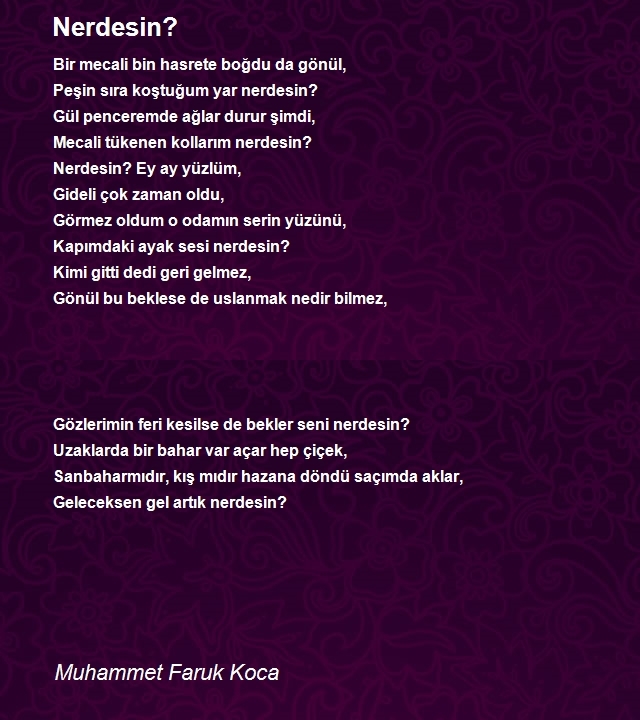 Muhammet Faruk Koca