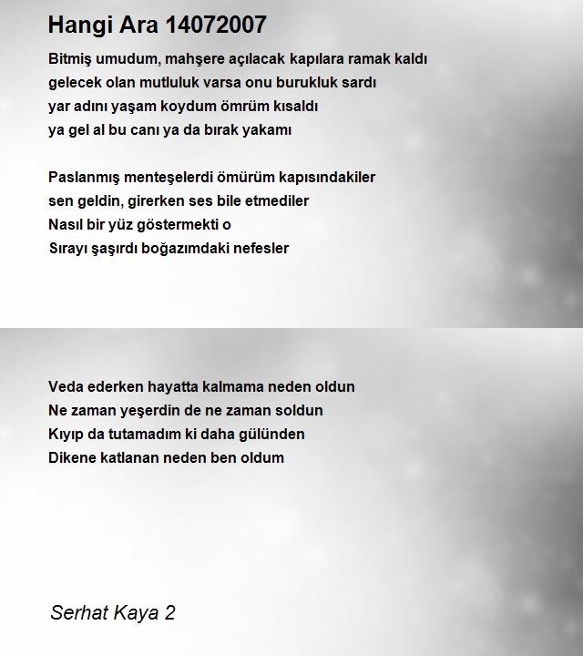 Serhat Kaya 2