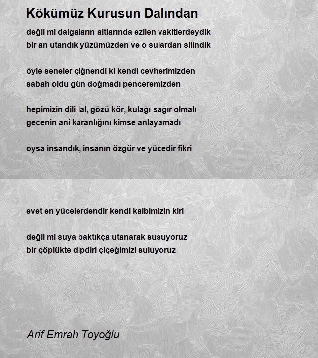 Arif Emrah Toyoğlu