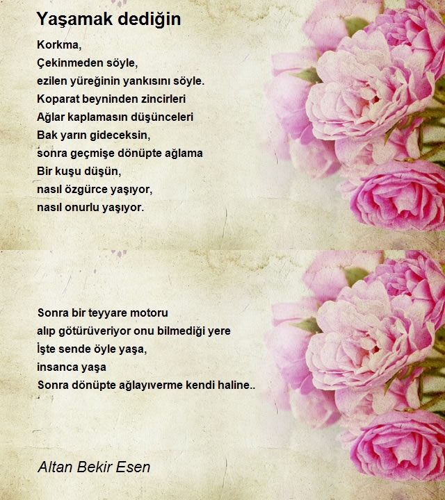 Altan Bekir Esen