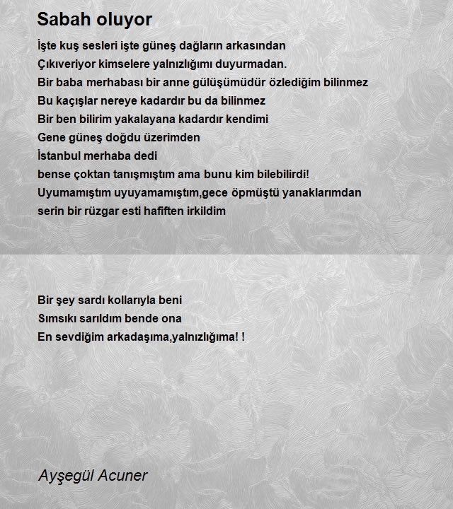 Ayşegül Acuner Ceylan