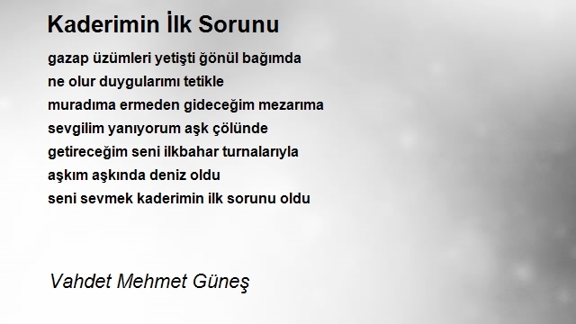 Vahdet Mehmet Güneş