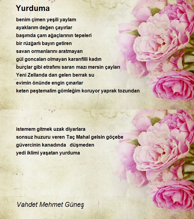 Vahdet Mehmet Güneş