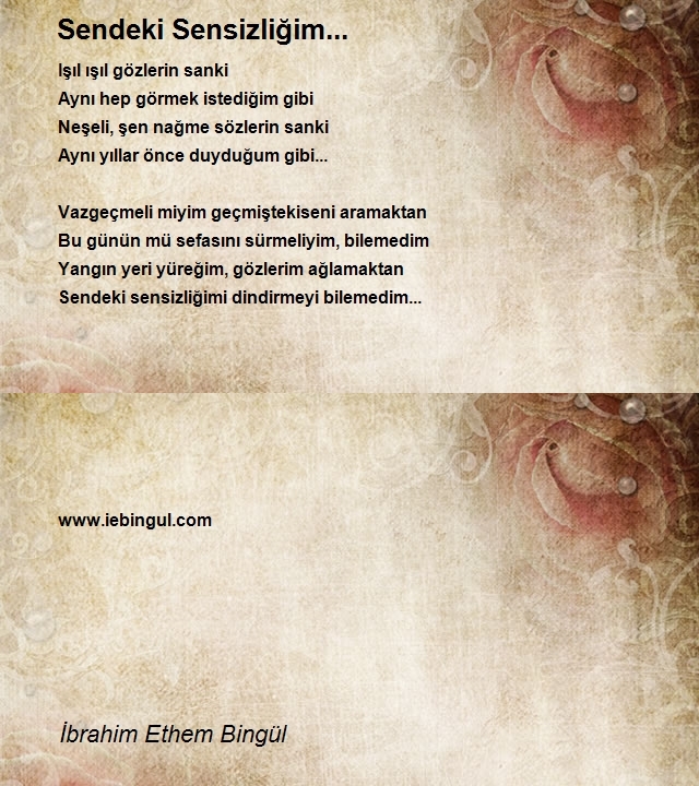 İbrahim Ethem Bingül