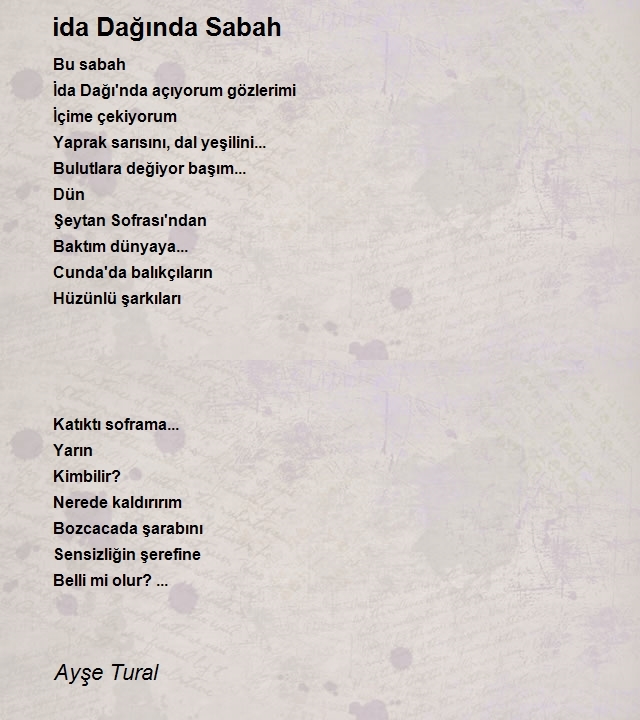 Ayşe Tural