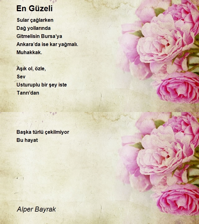 Alper Bayrak