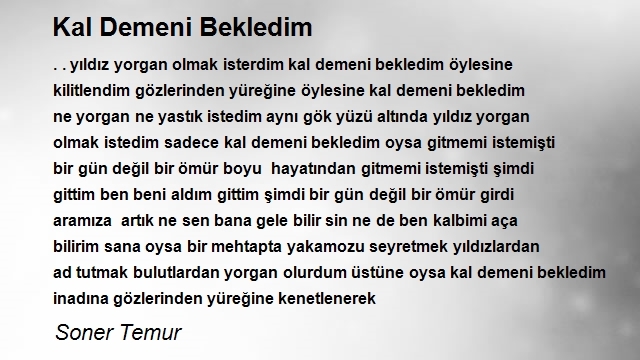 Soner Temur