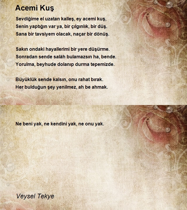 Veysel Tekye