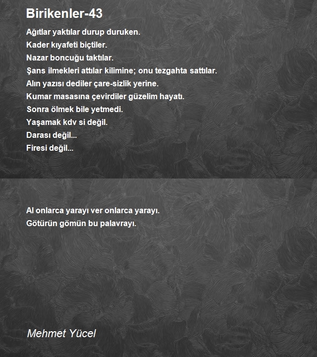 Mehmet Yücel