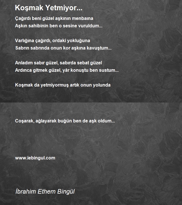 İbrahim Ethem Bingül