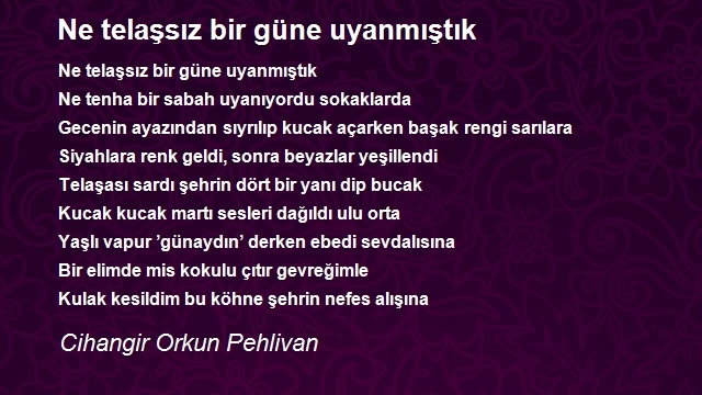 Cihangir Orkun Pehlivan