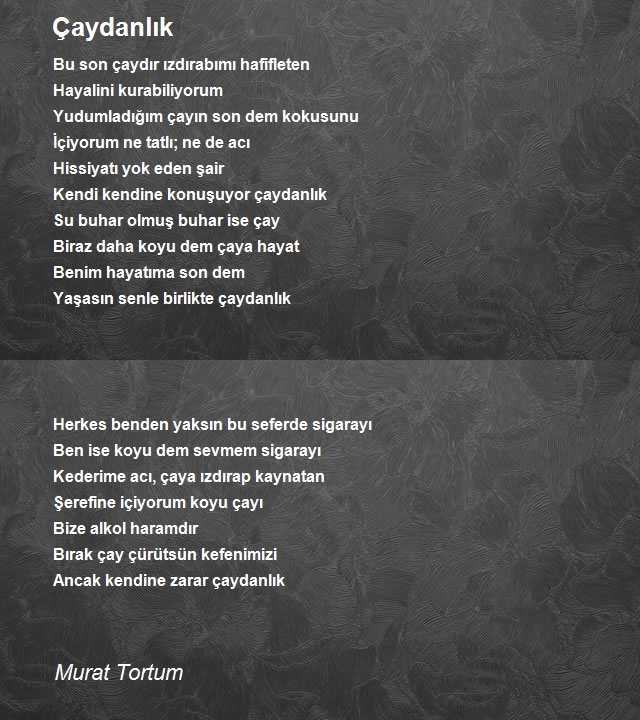 Murat Tortum