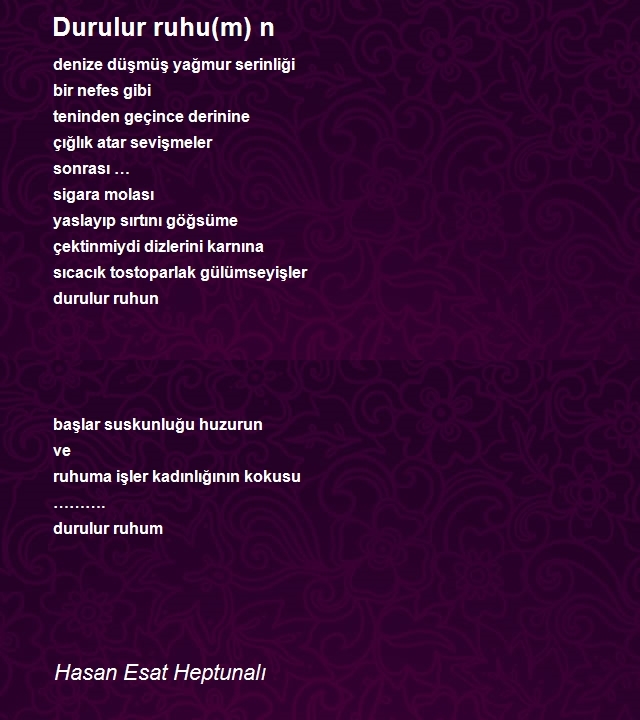 Hasan Esat Heptunalı