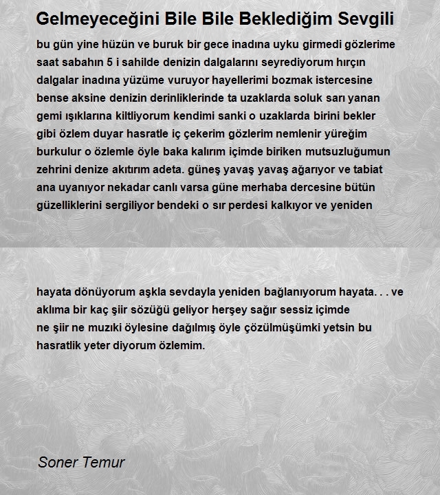 Soner Temur