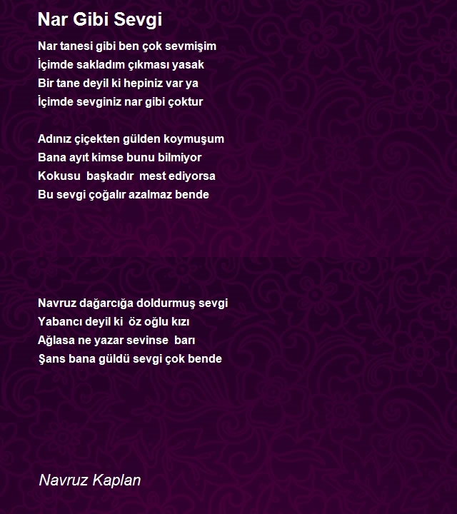 Navruz Kaplan