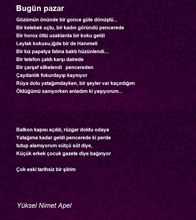 Yüksel Nimet Apel