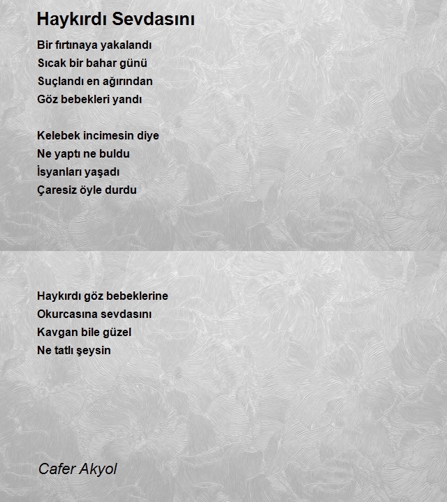 Cafer Akyol